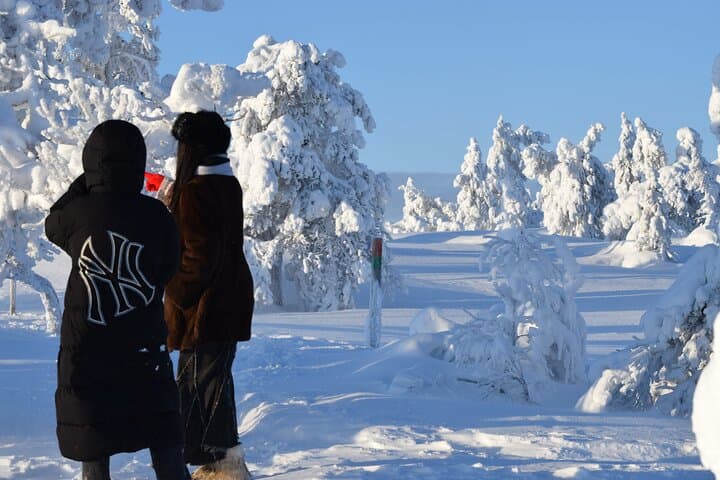 Riisitunturi Day Hike from Rovaniemi — Tykky Forests & Fell Summits photo 2