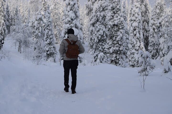 Riisitunturi Day Hike from Rovaniemi — Tykky Forests & Fell Summits photo 4