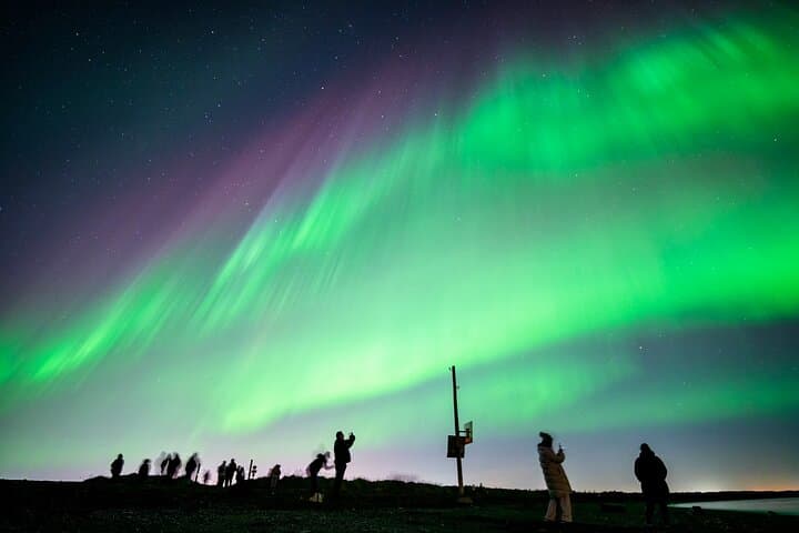 Chasing the Northern Lights: Small-Group Aurora Tour from Reykjavik photo 3