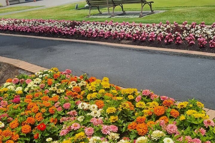 Rotorua Highlights Small-Group Tour — Geothermal Parks, Redwoods & Kiwifruit Orchards photo 4