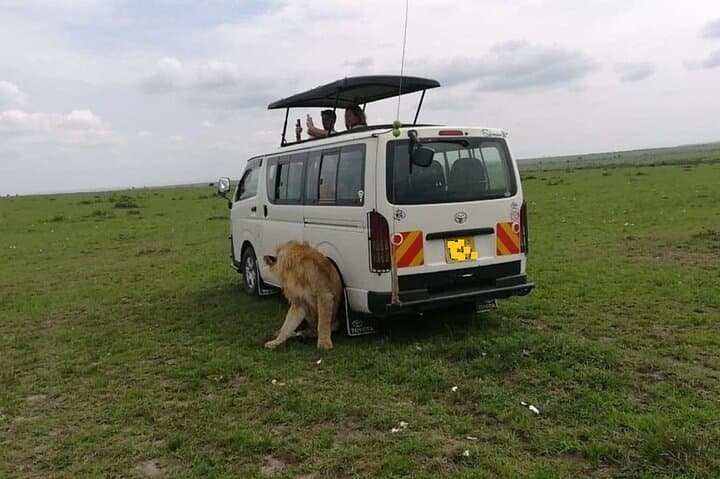 Nairobi National Park Safari: Wildlife Adventure on the Edge of a City photo 2