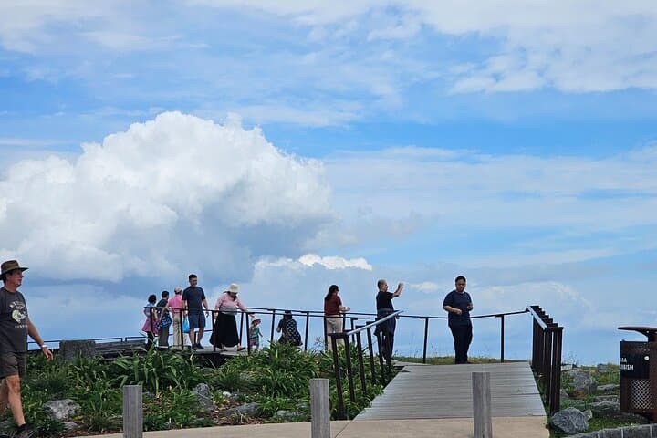Auckland in Four Hours: Westhaven to Mission Bay Small-Group City Tour photo 4