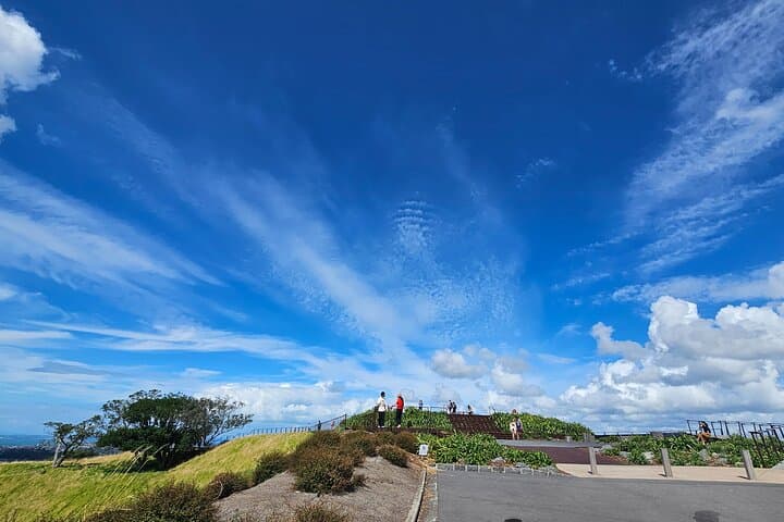 Auckland in Four Hours: Westhaven to Mission Bay Small-Group City Tour photo 5