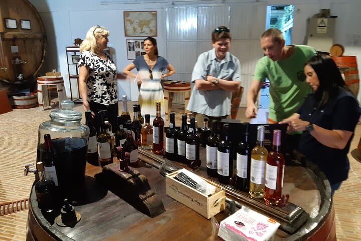 Douro Valley Sommelier Wine Tour with Rabelo Boat Cruise photo 2