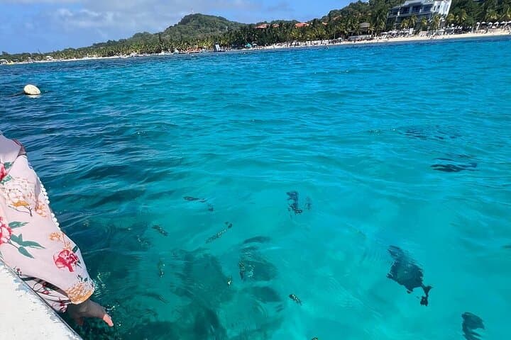 Roatán 3-Stop Snorkeling: Shipwreck, Starfish Alley & Blue Channel photo 2