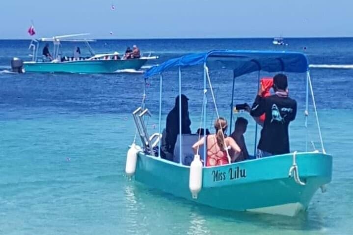 Roatán 3-Stop Snorkeling: Shipwreck, Starfish Alley & Blue Channel photo 5