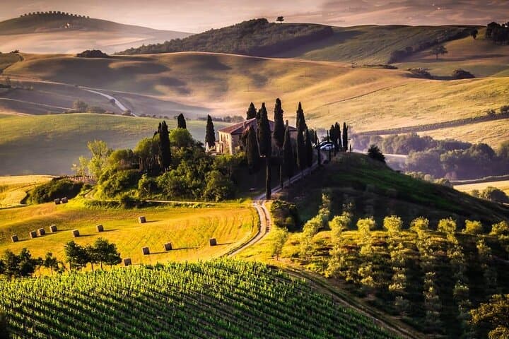Day Trip from Rome: Montepulciano Vino Nobile & Pienza Pecorino Tasting