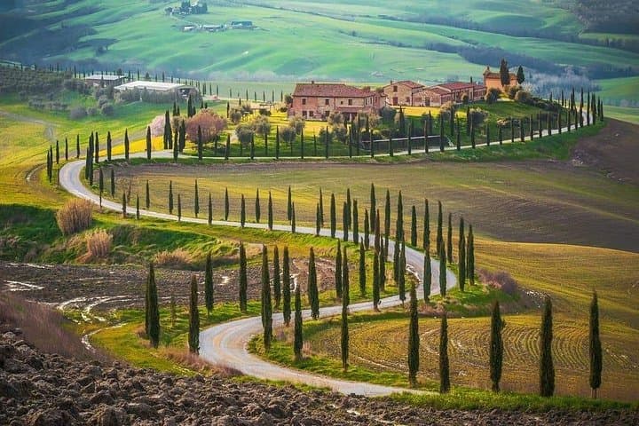 Day Trip from Rome: Montepulciano Vino Nobile & Pienza Pecorino Tasting photo 2