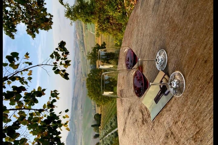 Day Trip from Rome: Montepulciano Vino Nobile & Pienza Pecorino Tasting photo 4
