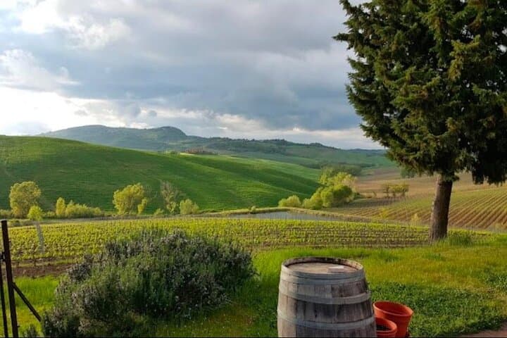 Day Trip from Rome: Montepulciano Vino Nobile & Pienza Pecorino Tasting photo 5