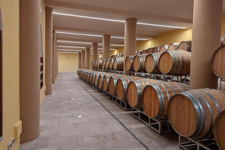 Day Trip from Rome: Montepulciano Vino Nobile & Pienza Pecorino Tasting photo 6