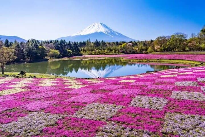 Private Mount Fuji Day Tour from Tokyo: Chureito, Caves, Onsen & Views photo 2