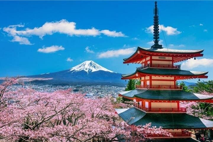 Mount Fuji & Hakone Private Day Tour from Tokyo — Lake Ashi, Owakudani, Gora photo 4
