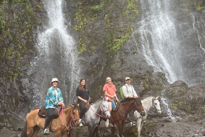 Christ the King Tour: Jardín’s Waterfall Walk, Panela Mill & Coffee Tasting photo 6