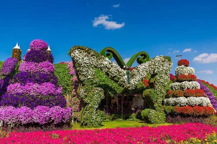 Inside Dubai Butterfly Garden: Walk Among 15,000 Butterflies in Climate-Controlled Domes photo 4