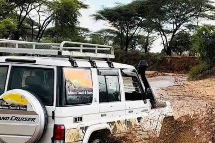 8-Day Harar, Awash & Bale Mountains Safari — Culture, Wildlife and High-Altitude Hikes photo 2