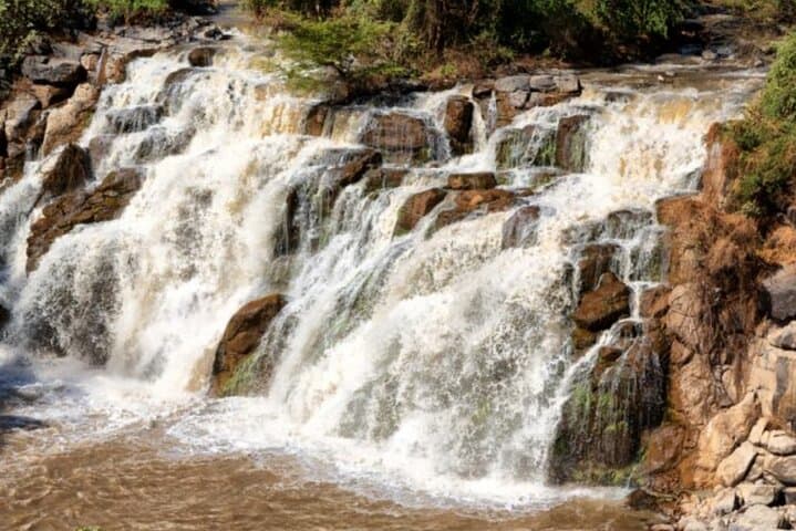8-Day Harar, Awash & Bale Mountains Safari — Culture, Wildlife and High-Altitude Hikes photo 4