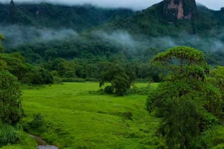 8-Day Harar, Awash & Bale Mountains Safari — Culture, Wildlife and High-Altitude Hikes photo 6