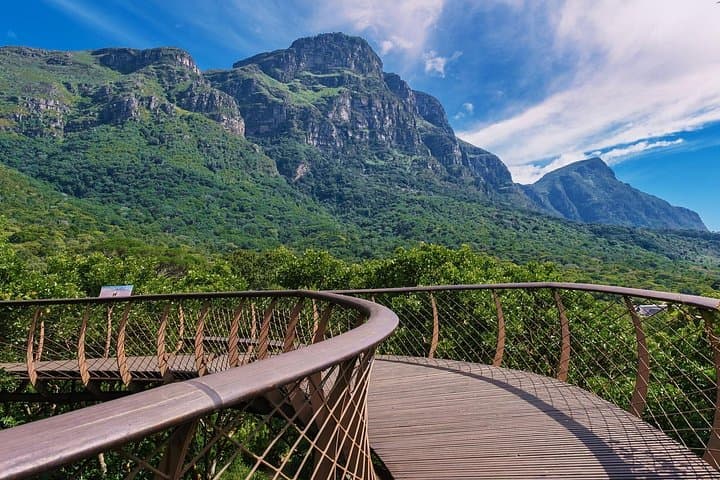 Half-Day Table Mountain, Bo-Kaap & Kirstenbosch Tour — Cape Town Views photo 4