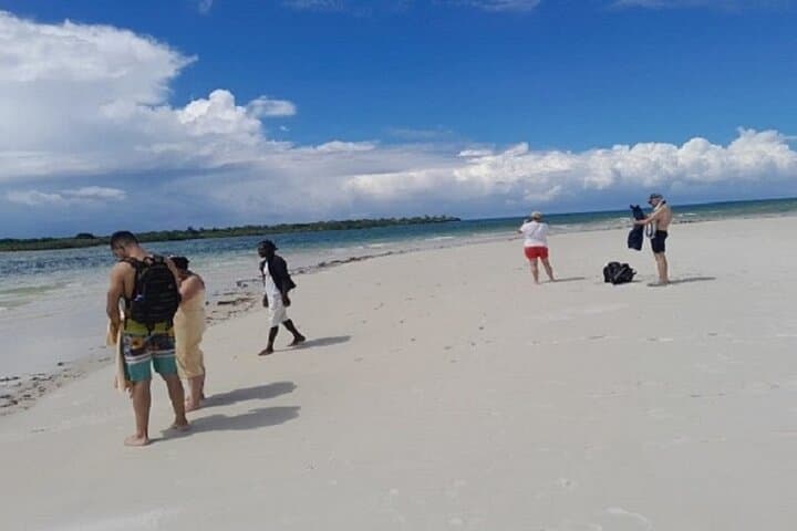 Funzi Island Day Trip: Mangrove Cruise, Sandbanks & Turtle Watching