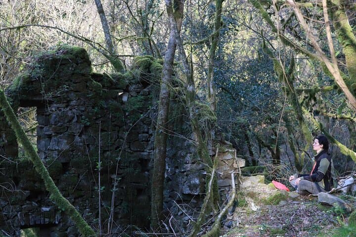 Forest Bathing in Tuscany: Shinrin-yoku & Wild-Crafted Tea at Stretti di Mochignano photo 6