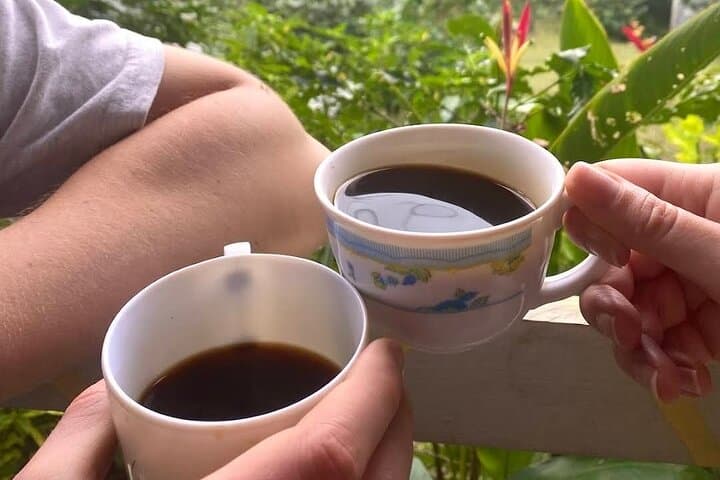 Blue Mountains Coffee Farm Tour from Port Antonio — Spring Hill Coffee Experience