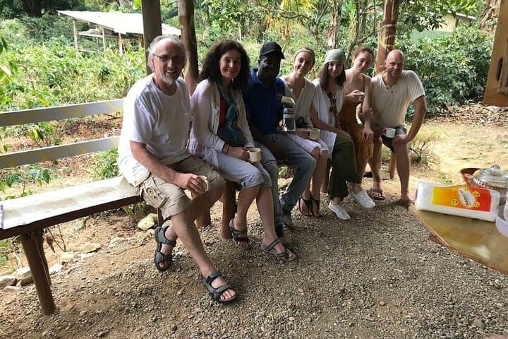 Blue Mountains Coffee Farm Tour from Port Antonio — Spring Hill Coffee Experience photo 4