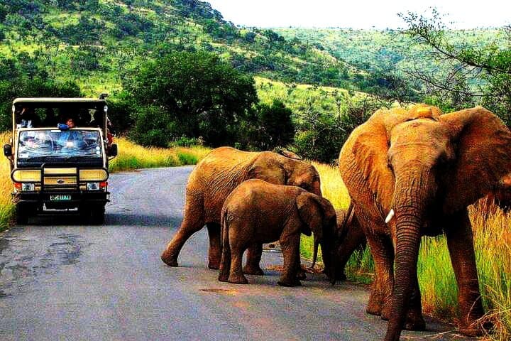 2-Day Johannesburg & Pilanesberg Safari: Soweto, Apartheid Museum & Big Five Game Drive photo 2