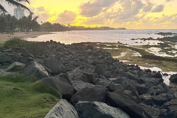 El Yunque Rainforest Hike, Las Paylas Waterslides & Luquillo Kiosks Day Trip photo 6