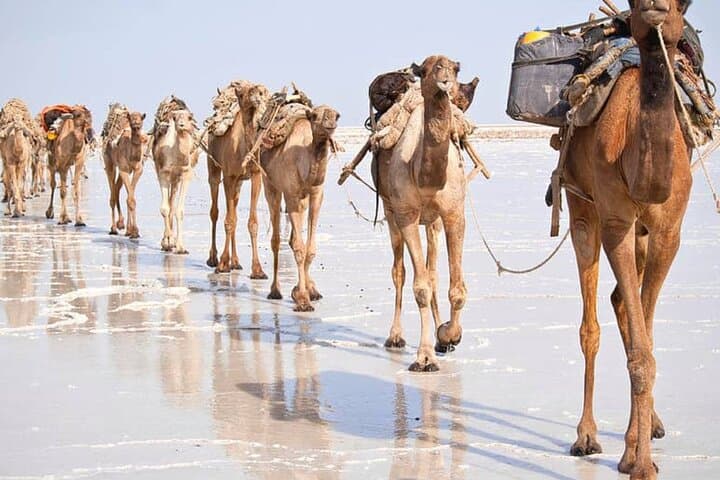 3-Day Danakil Depression Adventure: Erta Ale Lava & Dallol Hot Springs