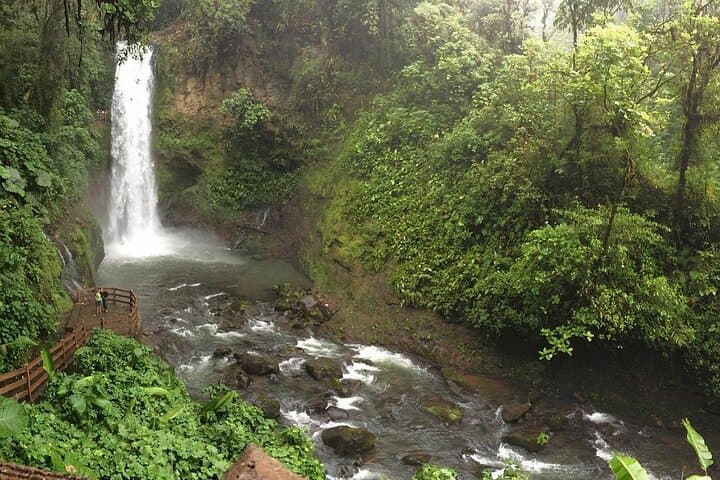 Explore Wild Costa Rica: Top Destinations and Adventures in 8 Days photo 3