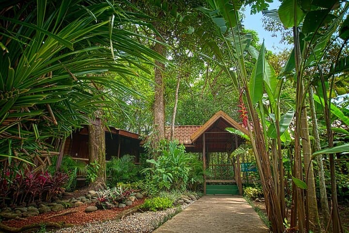 Explore Wild Costa Rica: Top Destinations and Adventures in 8 Days photo 4