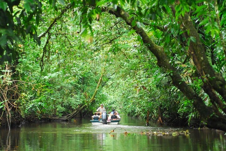 Explore Wild Costa Rica: Top Destinations and Adventures in 8 Days photo 2