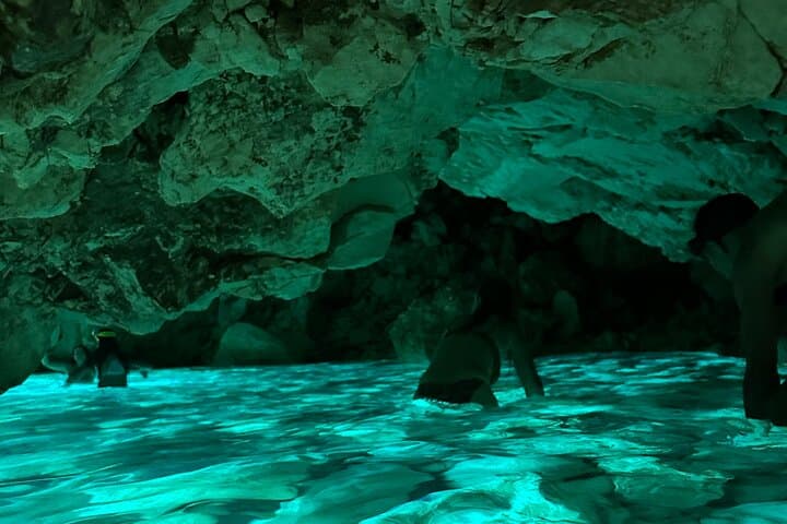 Vlora Speedboat Tour to the Blue Gem Cave & Grama Bay photo 5