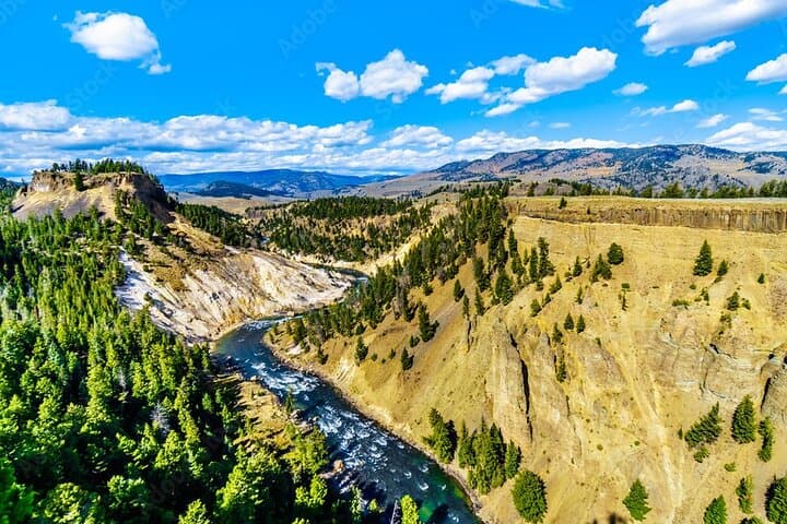 Yellowstone Upper Loop Full-Day Tour from Bozeman: Norris, Mammoth, Lamar & Canyon photo 3