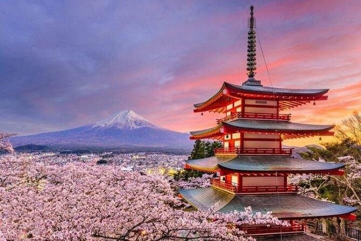 Mount Fuji & Hakone Private Day Tour from Tokyo — Lake Ashi, Owakudani, Gora Park photo 3