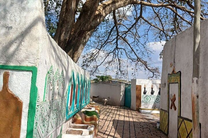 2-Day Harar Cultural Tour: Hyena Feeding, Historic Walls & Valley of Marvels