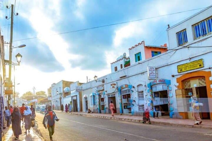 2-Day Harar Cultural Tour: Hyena Feeding, Historic Walls & Valley of Marvels photo 6