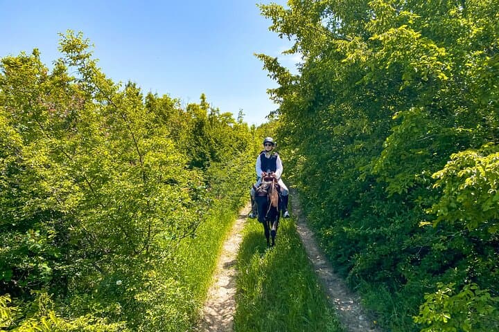 Day Horseback Riding at Palomino Ranch — Tbilisi Countryside Ride with Kazbegi Views photo 3