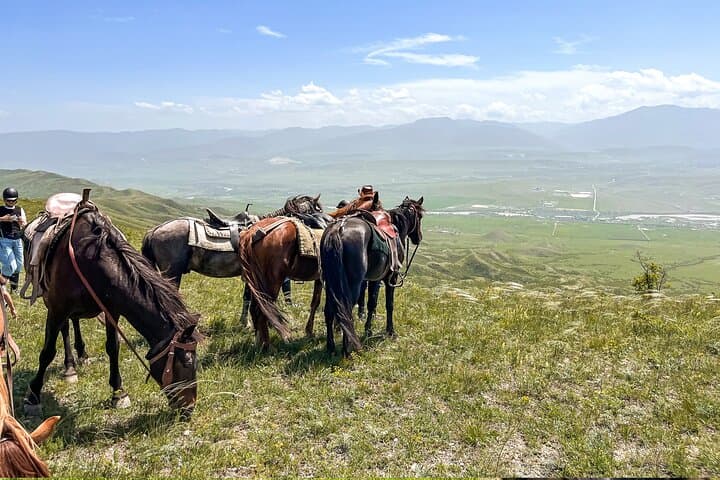 Day Horseback Riding at Palomino Ranch — Tbilisi Countryside Ride with Kazbegi Views photo 4