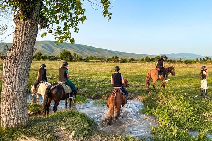 Day Horseback Riding at Palomino Ranch — Tbilisi Countryside Ride with Kazbegi Views photo 5