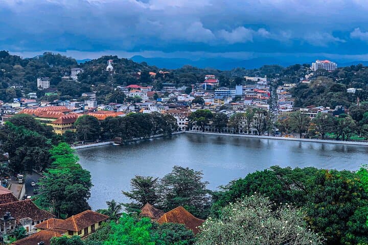 Kandy City Tour: Temple of the Tooth, Botanical Gardens & Tea Estate (Private Full-Day) photo 4