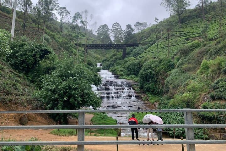 Kandy City Tour: Temple of the Tooth, Botanical Gardens & Tea Estate (Private Full-Day) photo 5