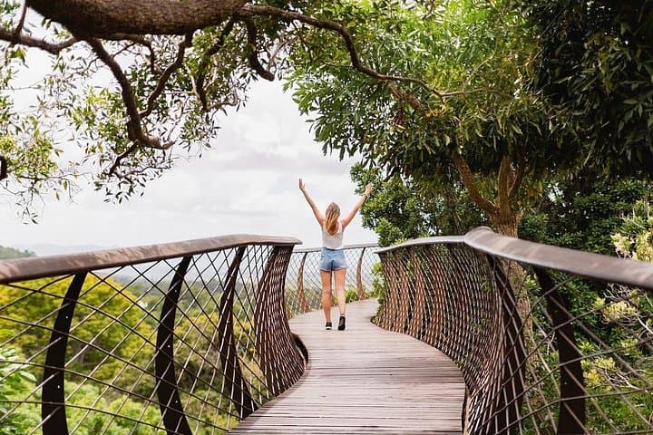 Half-Day Table Mountain, Bo-Kaap & Kirstenbosch Tour — Cape Town Views