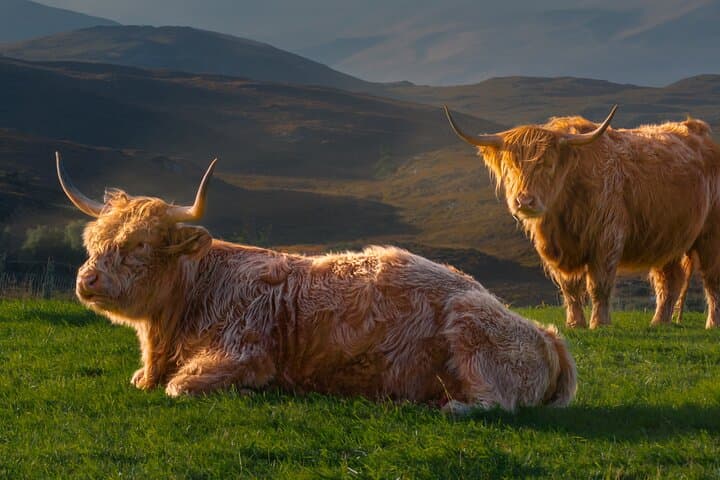 5-Day Highlands & Isle of Skye: Loch Ness, Ben Nevis, Mull and Castles photo 6