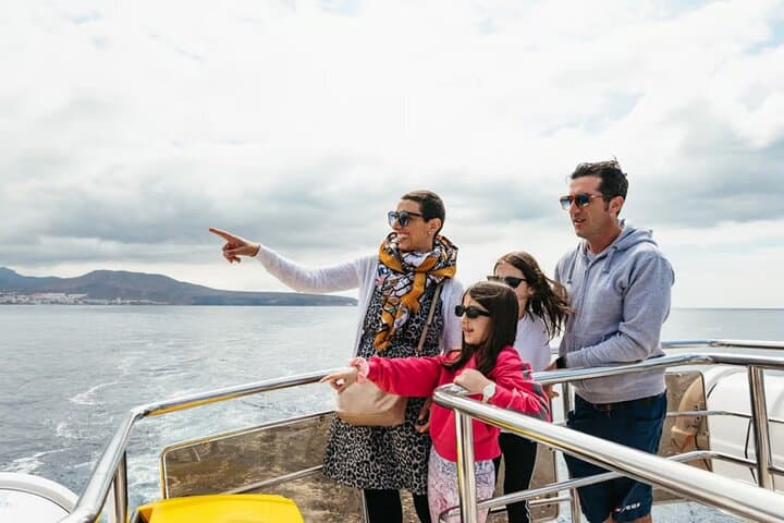 Eco-Yacht Whale & Dolphin Safari from Los Cristianos — Swim Stop Included
