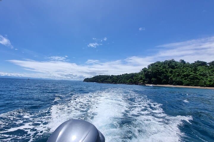 Canyon Island Snorkel Tour from Drake Bay — Half-Day Trip with Lunch photo 3