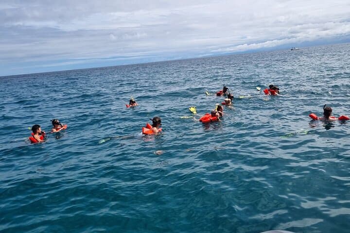 Canyon Island Snorkel Tour from Drake Bay — Half-Day Trip with Lunch photo 4