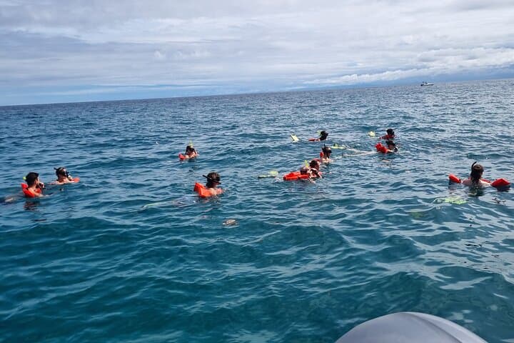 Canyon Island Snorkel Tour from Drake Bay — Half-Day Trip with Lunch photo 5