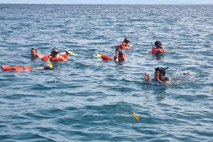 Canyon Island Snorkel Tour from Drake Bay — Half-Day Trip with Lunch photo 6
